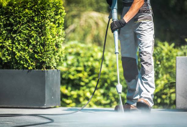 Reliable Los Luceros, NM  Pressure Washing Services Solutions