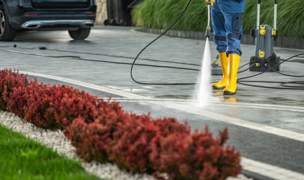 Best Gutter Cleaning  in Los Luceros, NM